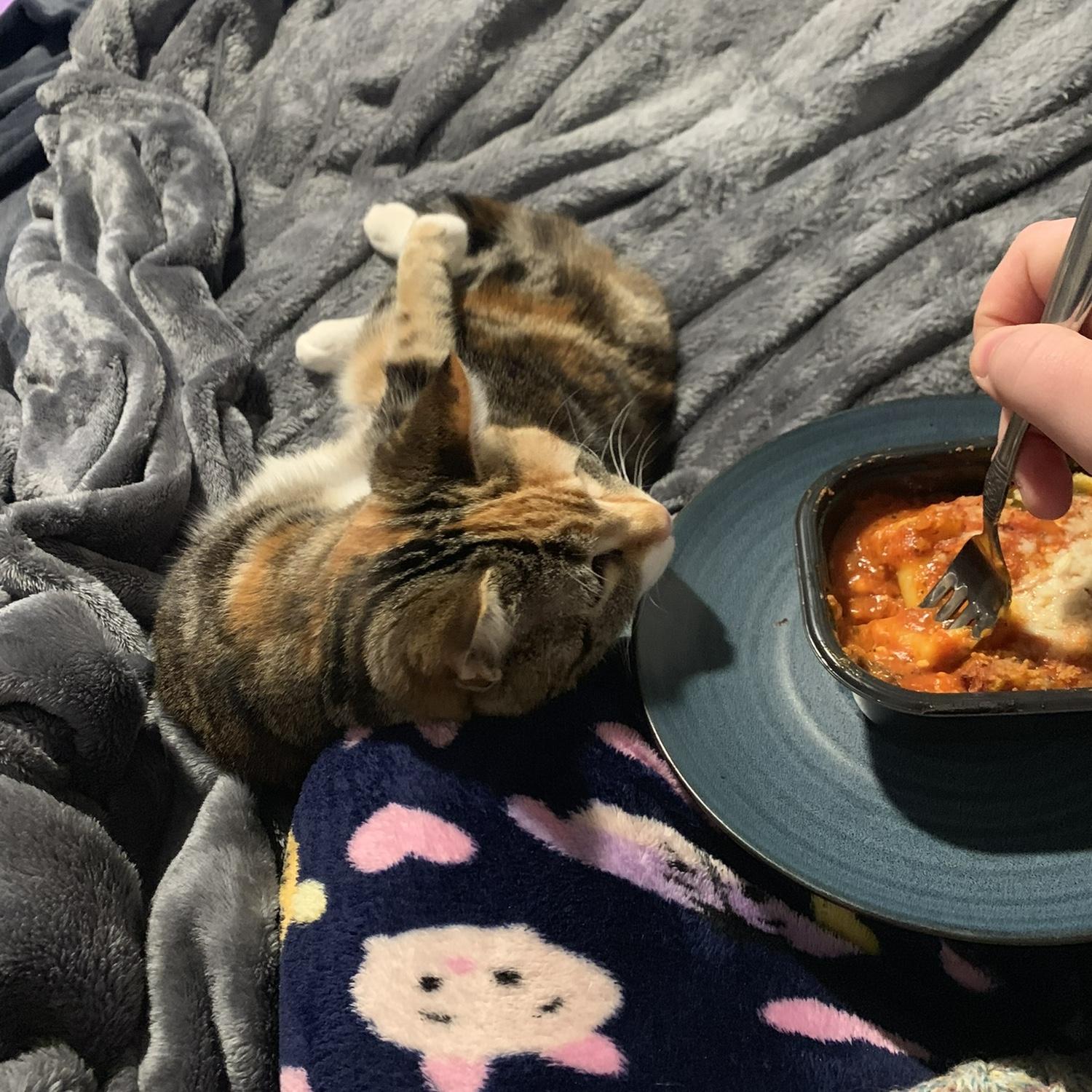 This baby girl loveees to smell our food.