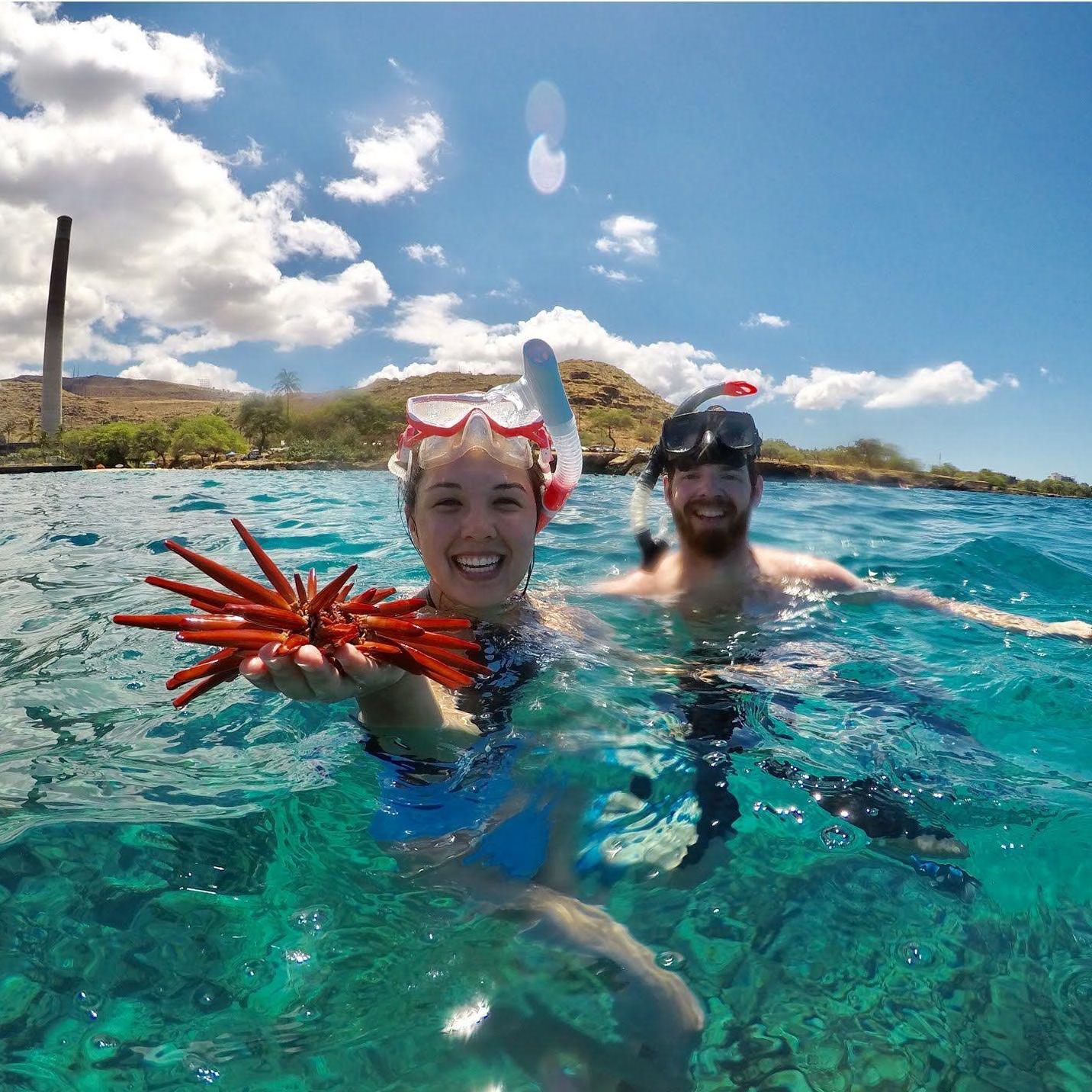 Oahu, Hawaii | Our first time snorkling with a family friend! Sea urchins, dolphins, and turtles were seen the entire afternoon.