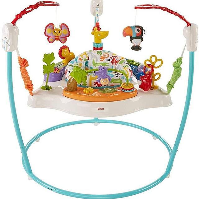 Fisher-Price Animal Activity Jumperoo, Blue, One Size