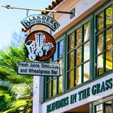 Blenders In The Grass - Mesa