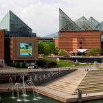 Tennessee Aquarium