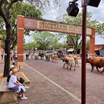 Fort Worth Stockyards