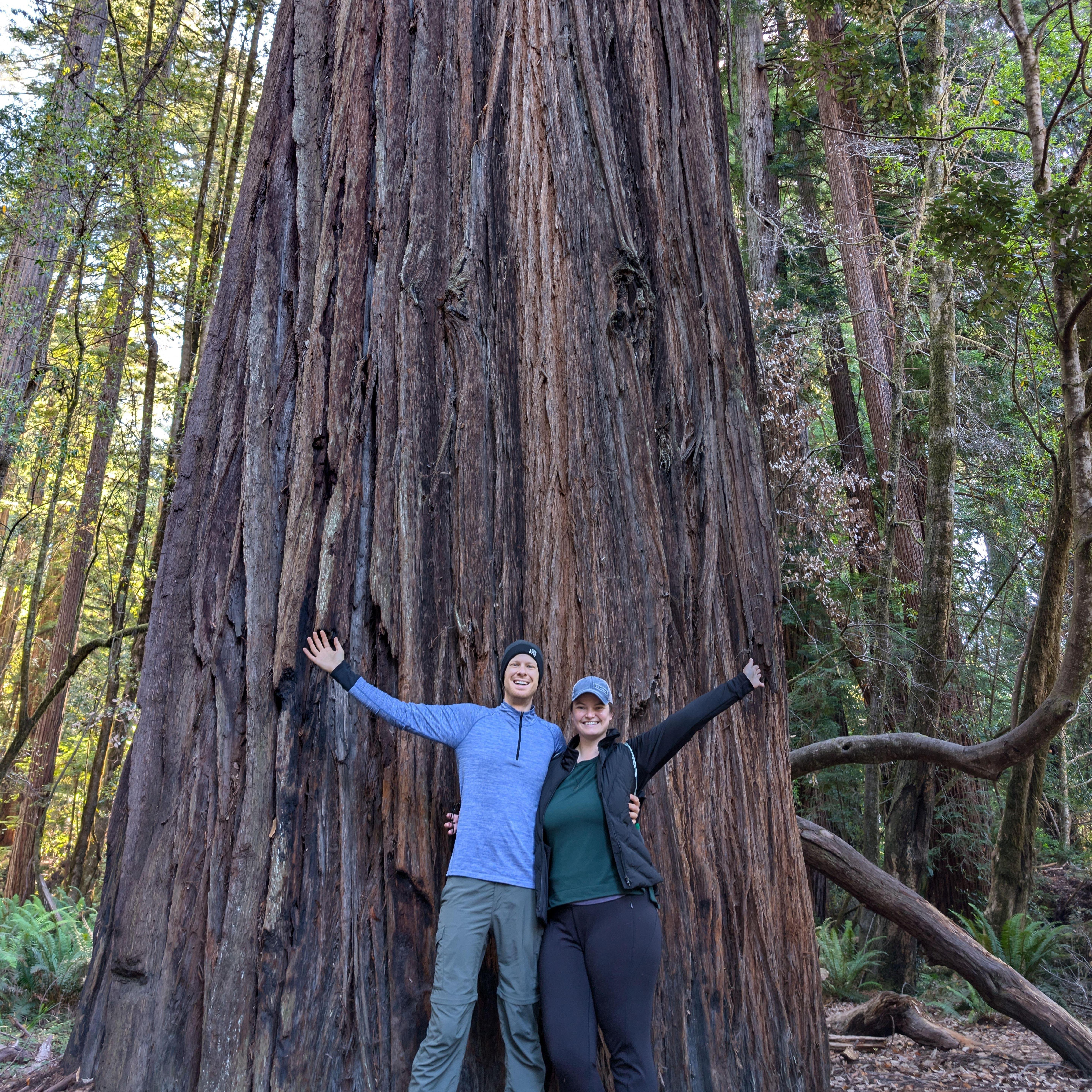 Matt's birthday adventure- his one wish- to see the big trees!