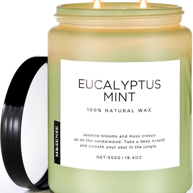 M&SENSE Eucalyptus & Mint Candles for Home Scented, 19.4oz 110 Hours Burn Soy Aromatherapy Candle Gift for Stress Relief, Meditation, Yoga, Relaxing SPA, Natural Jar Candles for Men and Women