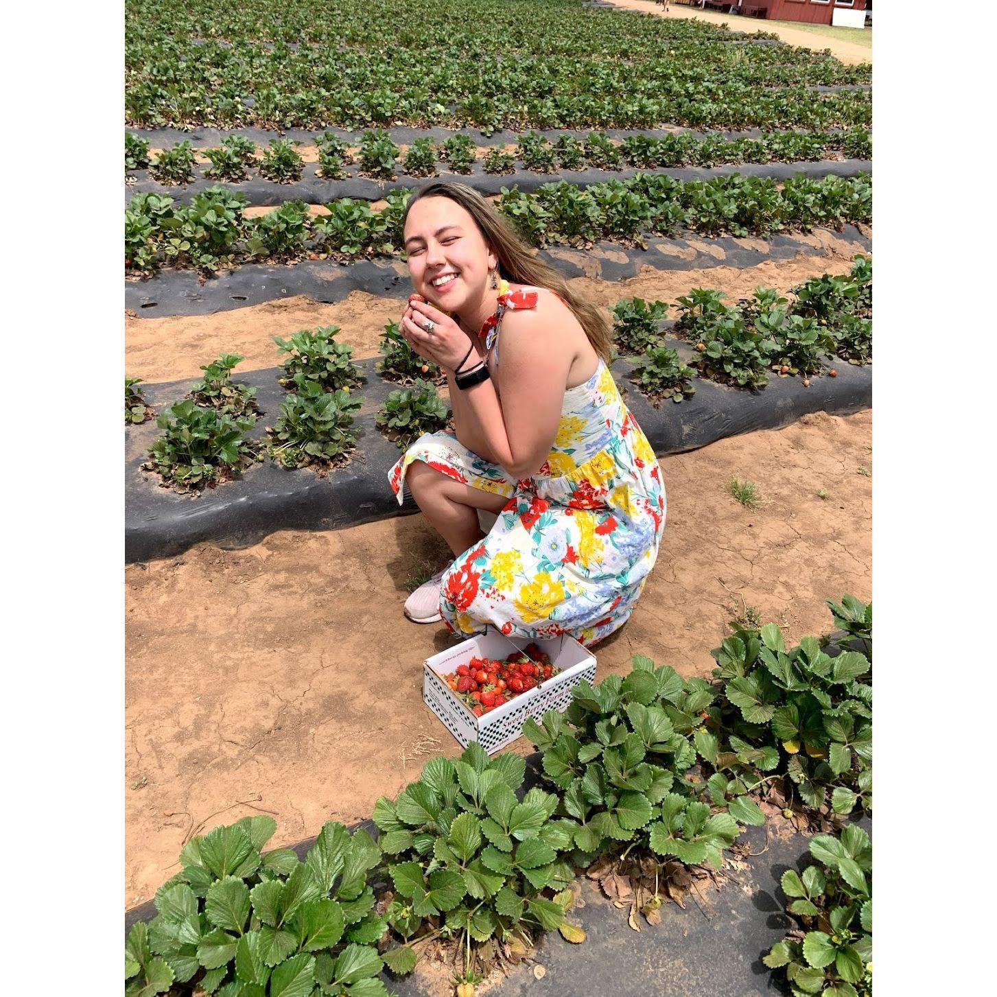 Strawberry picking outside of Austin...this was the day Sonya found out she got into medical school.
