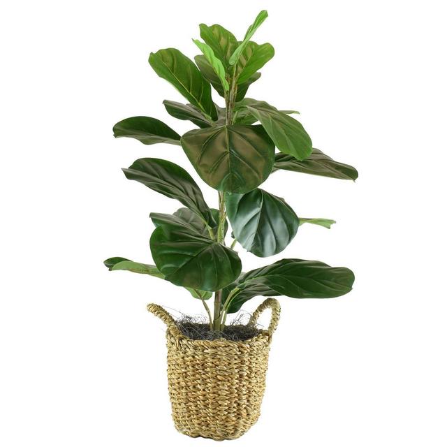 30" x 16" Artificial Fig Plant in Basket with Handles Green - LCG Florals