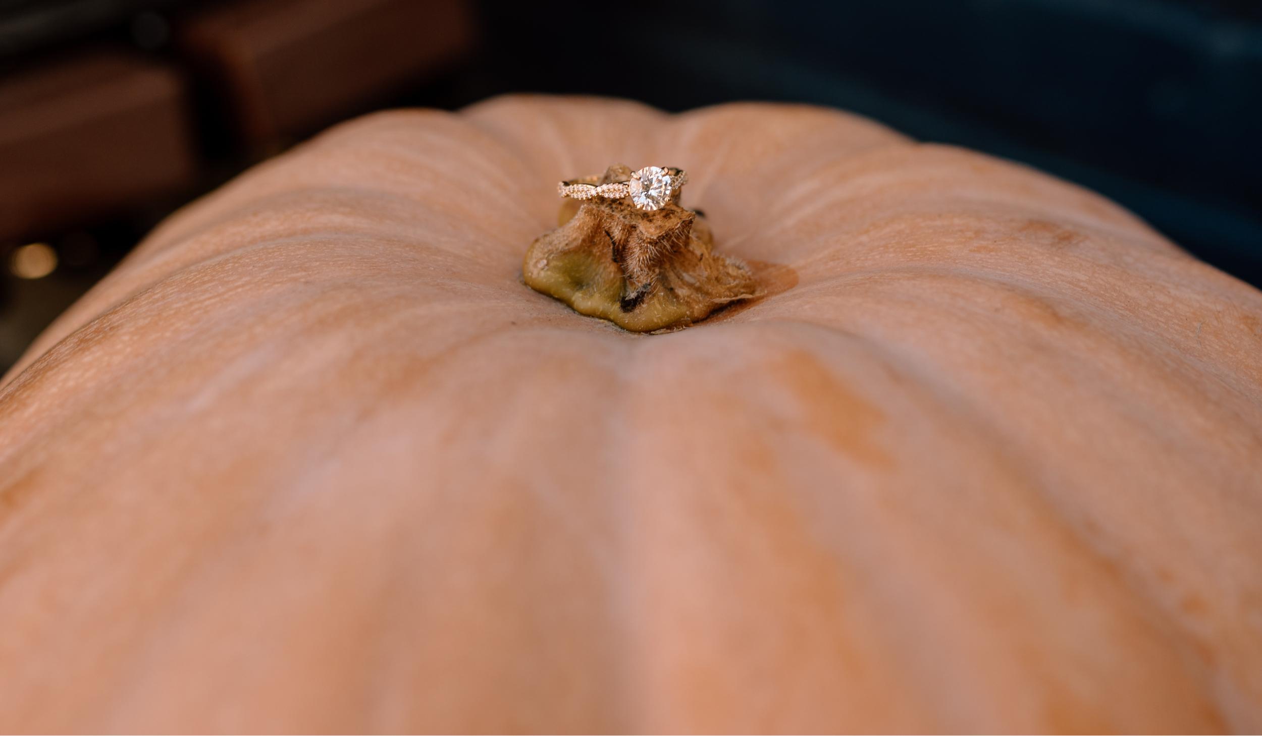 Hero Slideshow Image 3