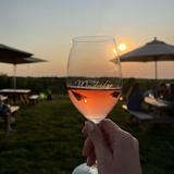 Windridge Vineyards