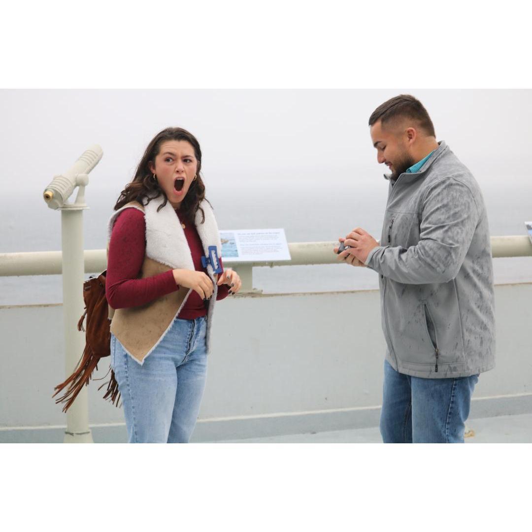 This is right when Sarah realized that David was going to propose at the Monterey Bay Aquarium, her favorite place. :)