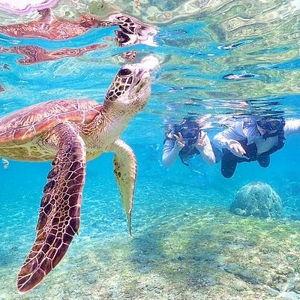 Snorkeling
