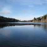 Lake Gregory Trail