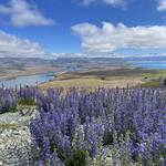 Lake Tekapo