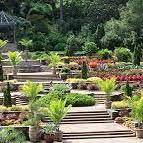 Sarah P. Duke Gardens