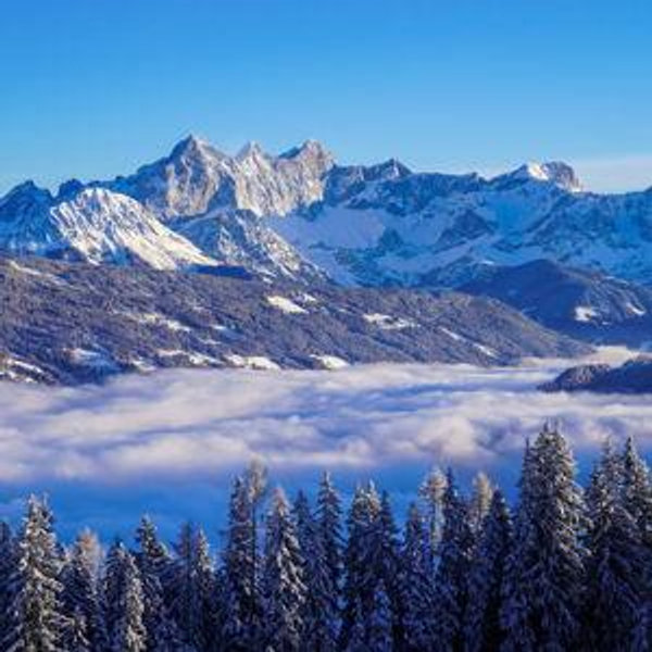 Dinner for Two in Austria