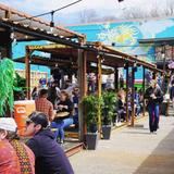 Asheville Breweries