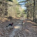 Douglas State Forest