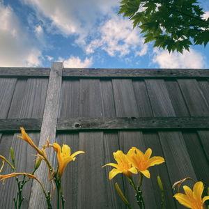 Fence Fund
