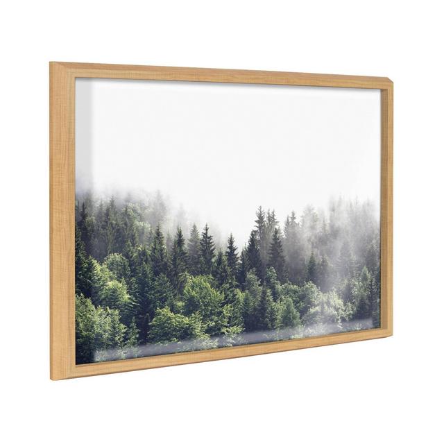 18" x 24" Blake Lush Green Forest on a Foggy Day Framed Printed Glass Natural - Kate & Laurel All Things Decor