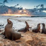 La Jolla Cove