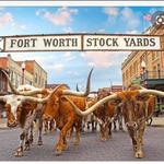 Fort Worth Stockyards