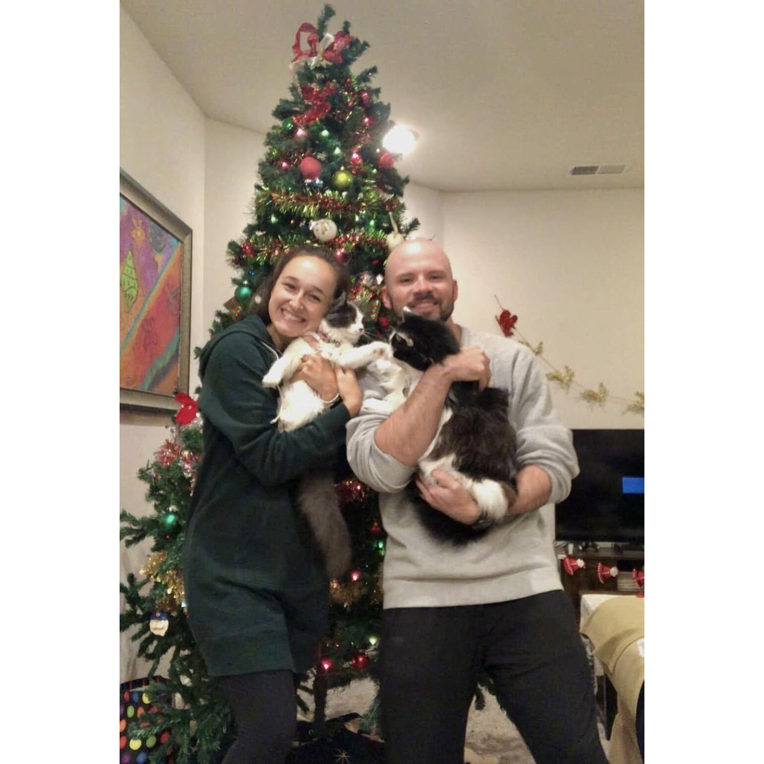 Our second Christmas in the same apartment, but we grew our family by 1 kitten (Bonnie). Cinco isn't a fan...