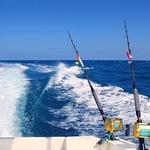 Fishing Charters