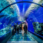 National Aquarium