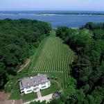 Harmony Vineyards