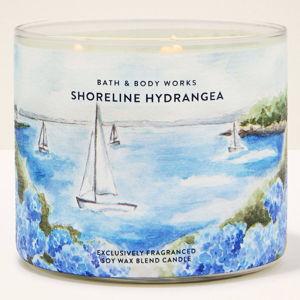 Shoreline Hydrangea 3-Wick Candle