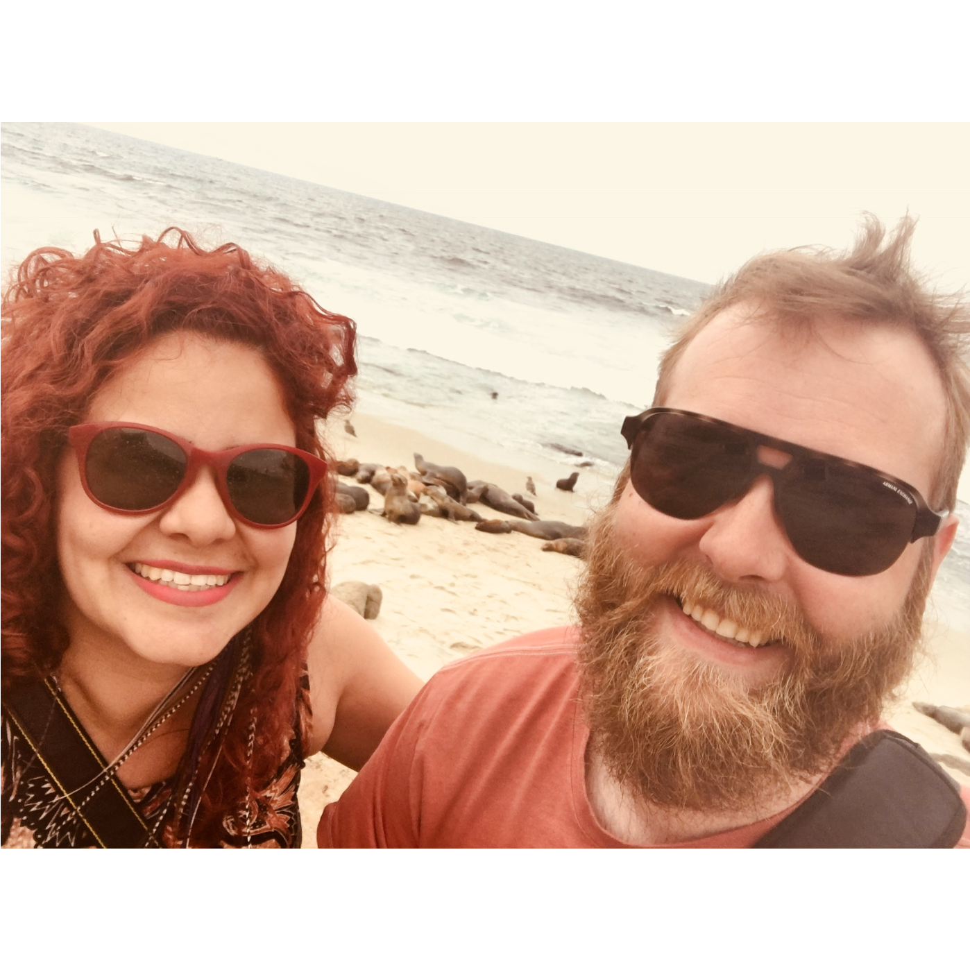 La Jolla and the seals