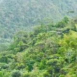 Toro Verde Adventure Park