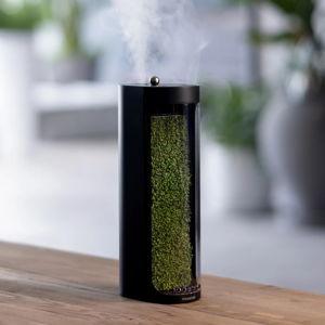 Moss Air - Add Calm with Living Moss - Black