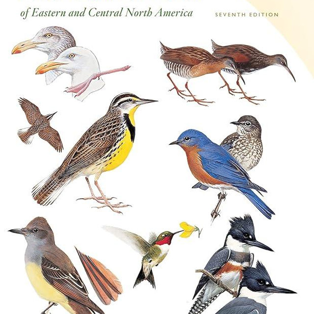 Peterson Field Guide To Birds Of Eastern & Central North America, Seventh Ed. (Peterson Field Guides)