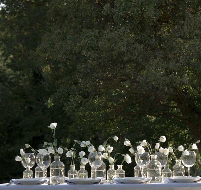 The Wedding Website of Taylor Stein and Connor Nelsen