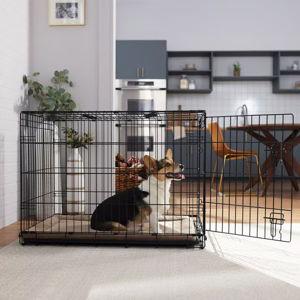 FRISCO Fold & Carry Single Door Collapsible Wire Dog Crate, Med/Large - Chewy.com