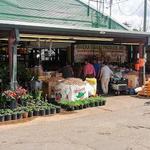 The Houston Farmers Market
