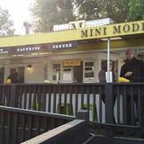 Mini Model