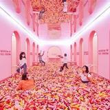 MUSEUM OF ICE CREAM