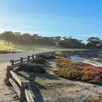 17 Mile Drive
