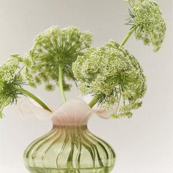 Lucy Ruffle Glass Vase