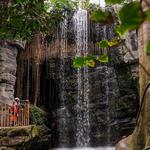Omaha's Henry Doorly Zoo and Aquarium
