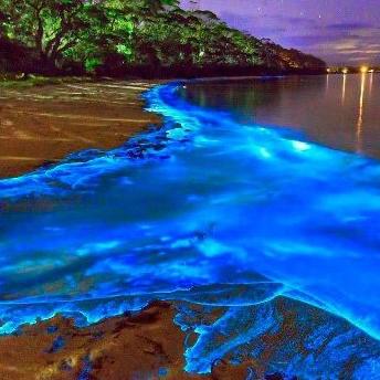 Luminous Lagoon Honeymoon Excursion