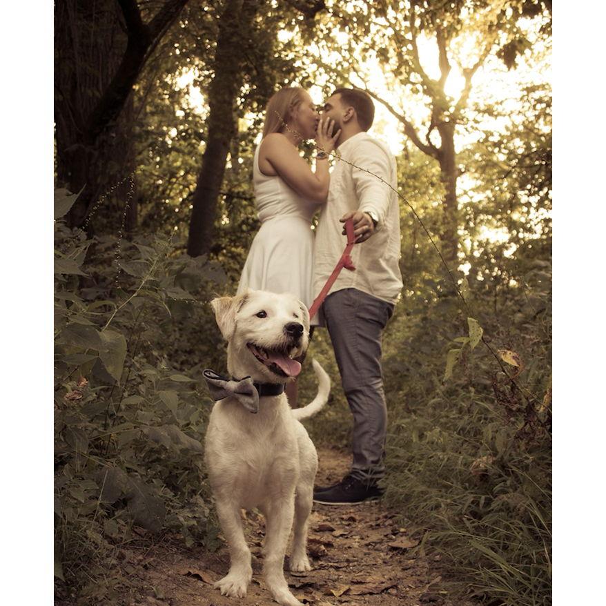 "My parents are getting married!"(2015)