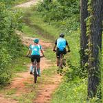 Russell Forest Trails