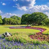 The Dallas Arboretum and Botanical Garden