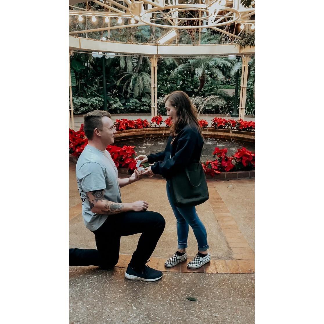 The Proposal