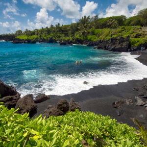 Hawaiian Honeymoon Fund