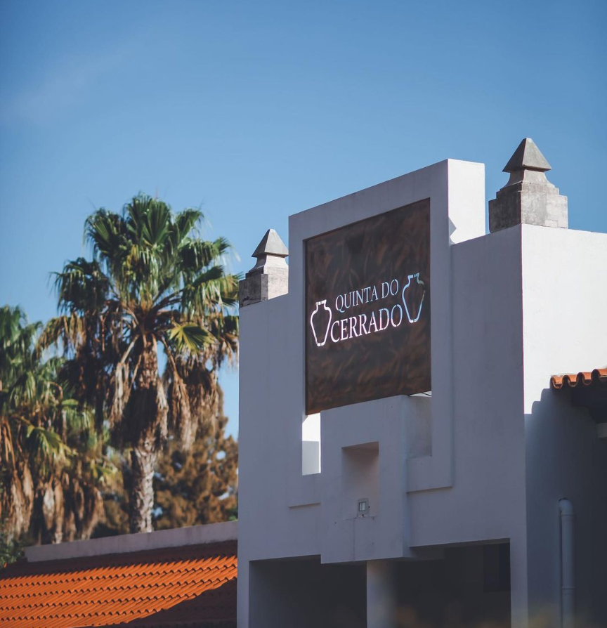 The Wedding Website of Souha Hamdi and João Castanheira