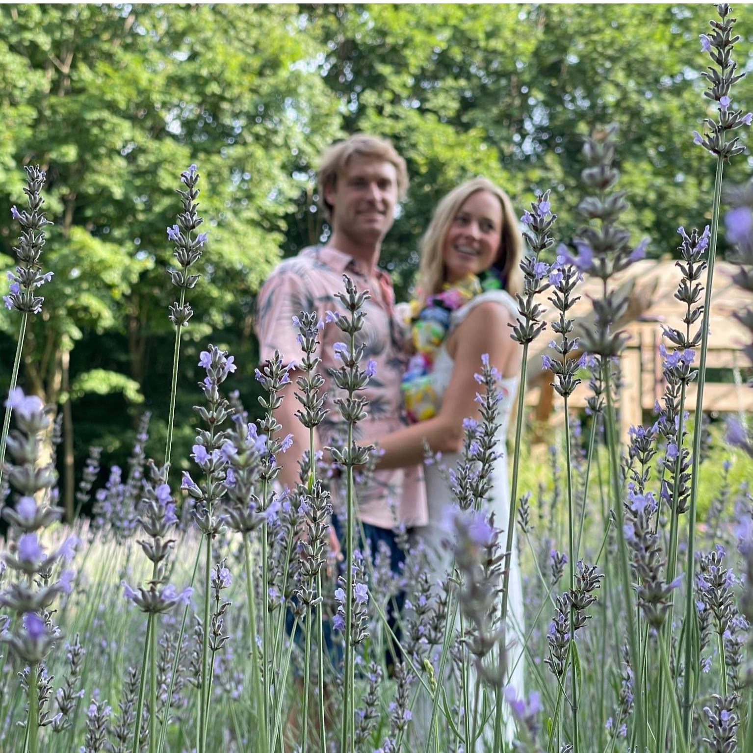 Back on the farm in Pennsylvania