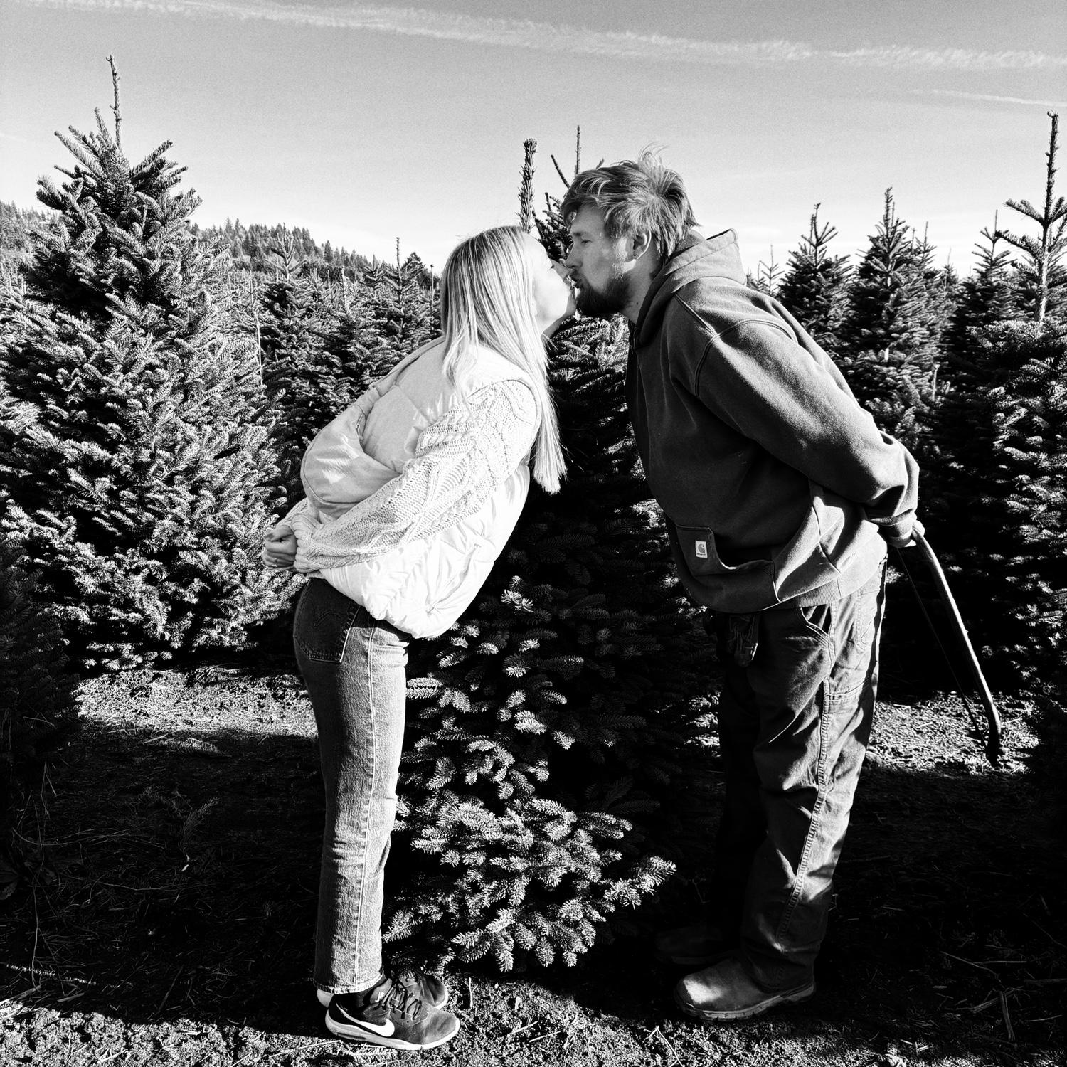 Christmas Tree 2025